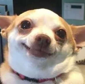 啥 刚体骨骼 Bender当然有 不再需要mmd辅助 哔哩哔哩专栏