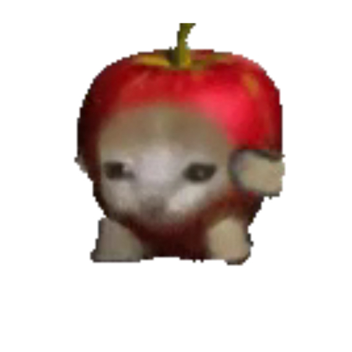 kittyterry