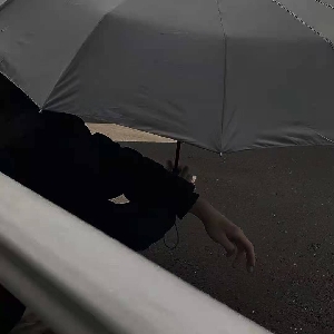 浔野很笨的