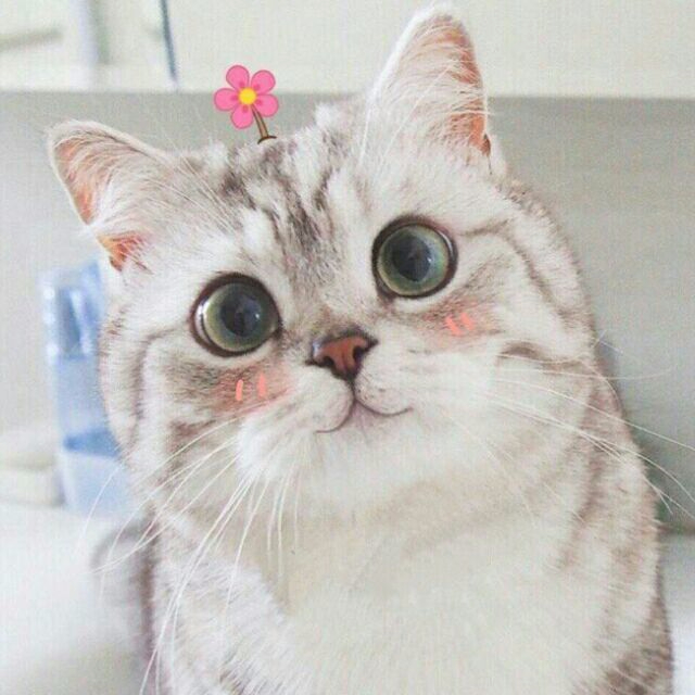 关于(biubiu叉会儿腰)(唯一音乐小魔王)的回复以