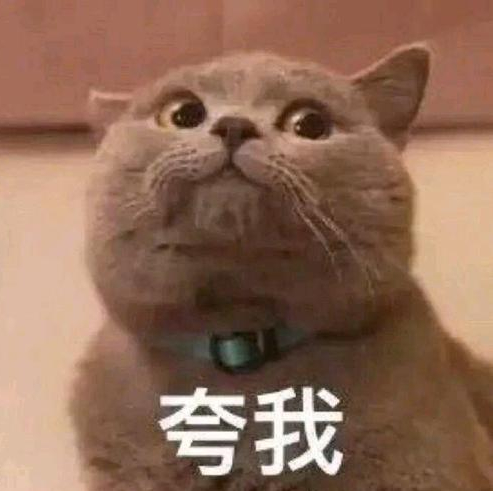喜欢那是初心