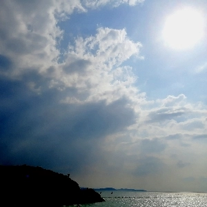 花白胡子老人的个人空间 哔哩哔哩 Bilibili