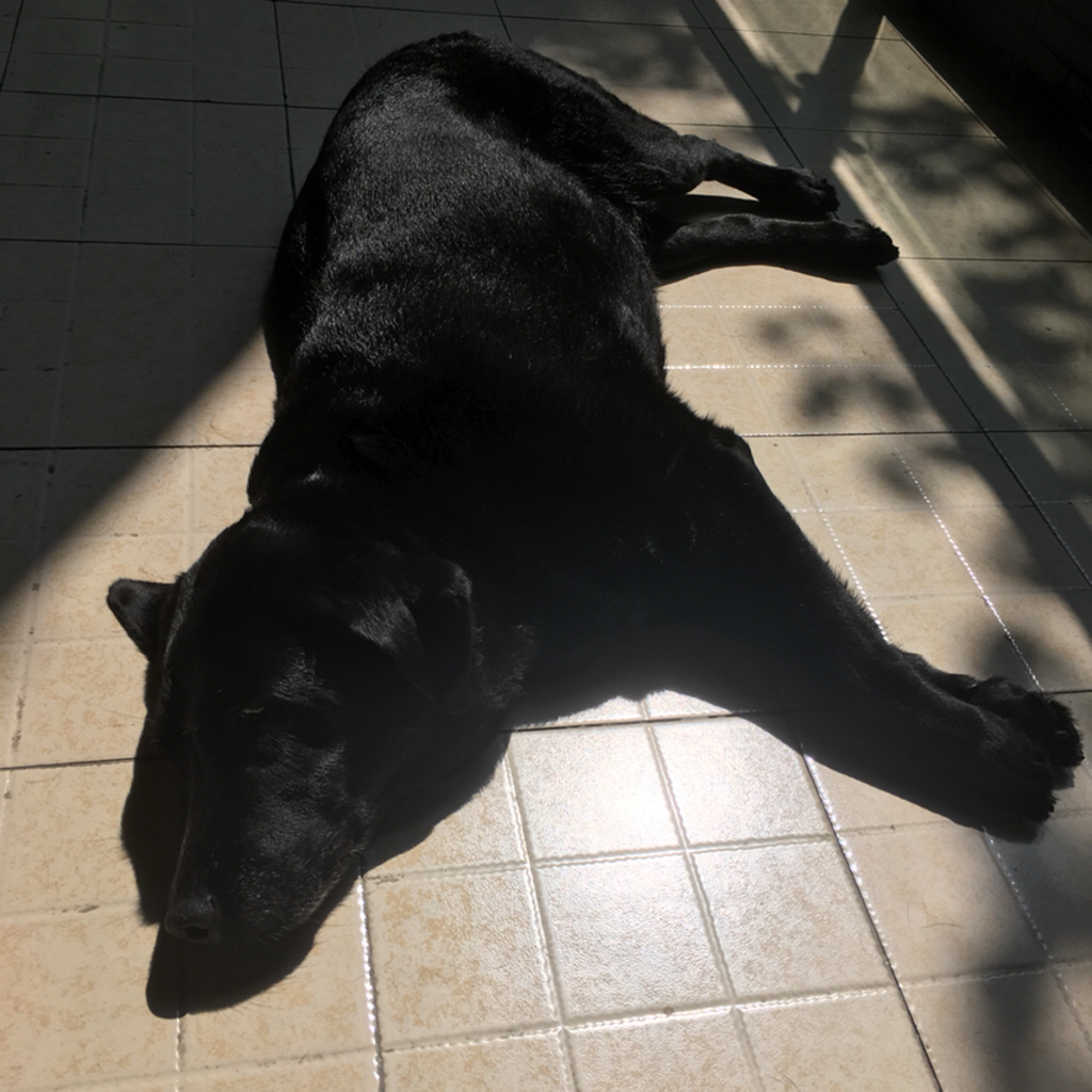 符文工房4通关纪念&新人攻略