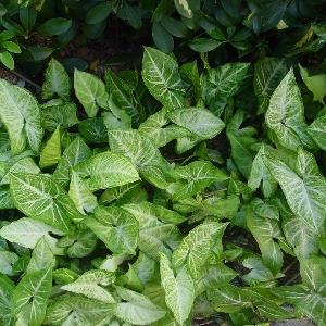 水守田的个人空间 - 哔哩哔哩 ( ゜- ゜)つロ 乾杯~ bilibili