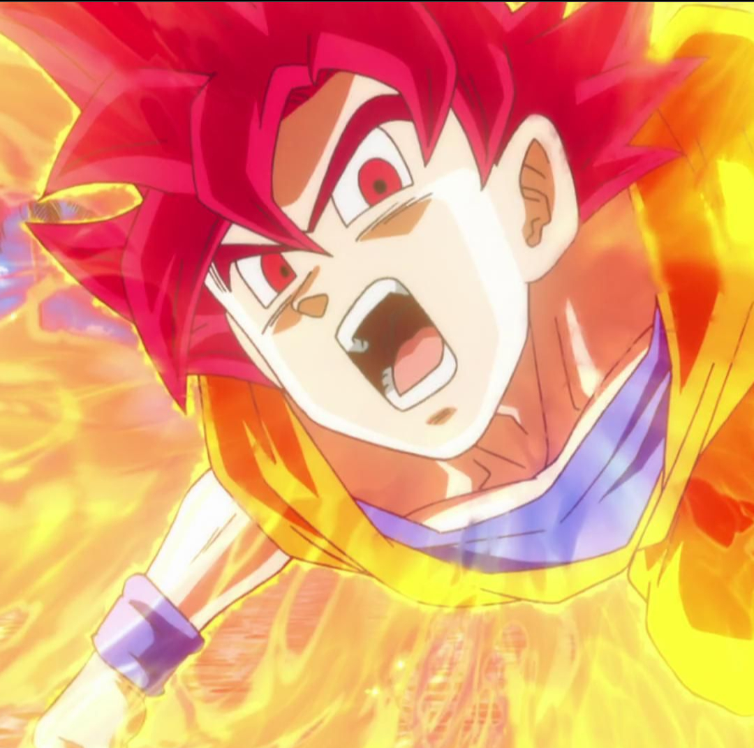 毅种循环的快乐生活