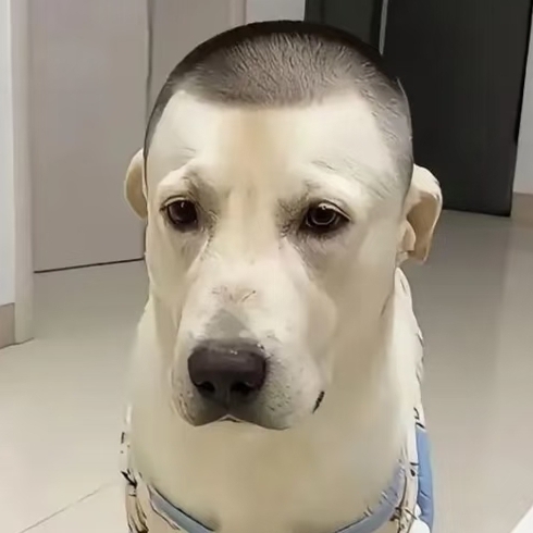 蜢莮过茳