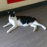 补 Drama Punch 子安武人x中村悠一 哔哩哔哩 Bilibili 补 Drama Punch 子安武人x中村悠一 哔哩哔哩 Bilibili