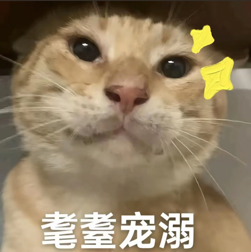 耄耋猫表情包