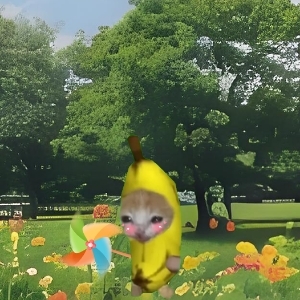 果汁猫meme