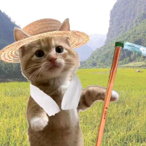小伙子软软
