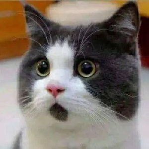 老男孩全网软件库