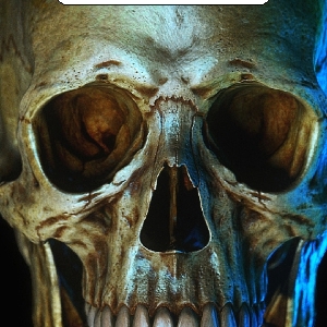 诚心吖-