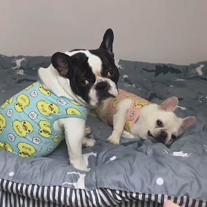 世相|德云社背后的相声界恩怨情仇