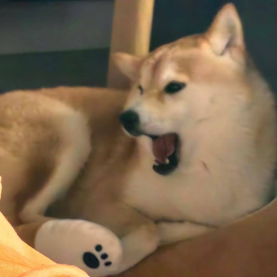 冰原狼kk444