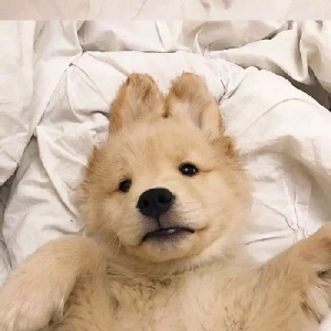 qq飞车手游  神风玉堂试驾 高画质