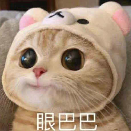 hoyipe