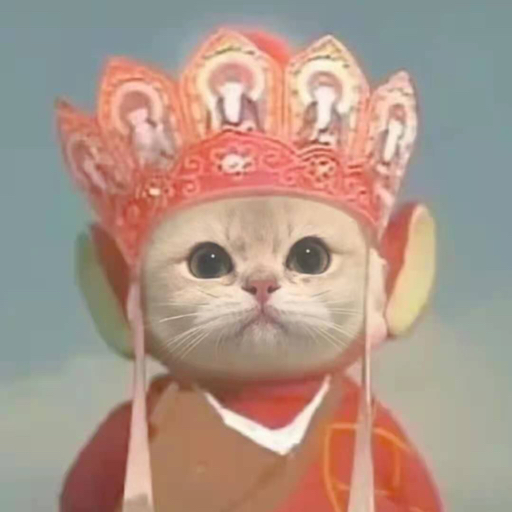 ⚠