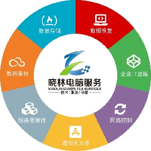 晓林信息技术