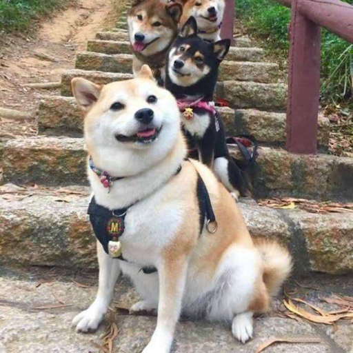 卓越数码挑一台