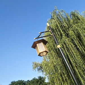 江小南和他的小伙伴们