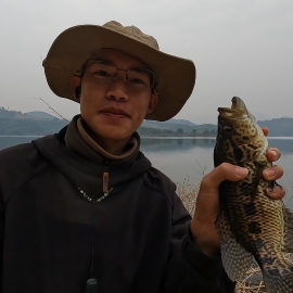 清河半醒