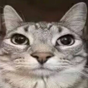 祖传柠檬精