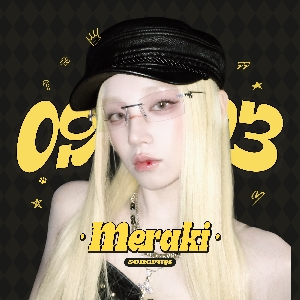 宋雨琦YQ_Meraki