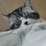 演唱