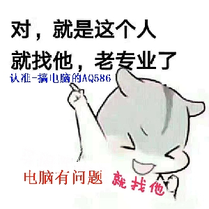 搞电脑的AQ586