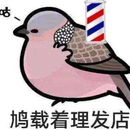 鸠崽着理发店