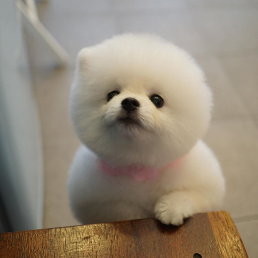 20200803金宇硕twentytwenty剧透叫贤真起床