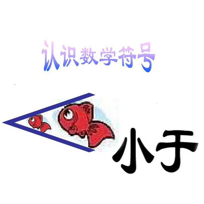 小于不吃虾米的个人空间 哔哩哔哩移动版