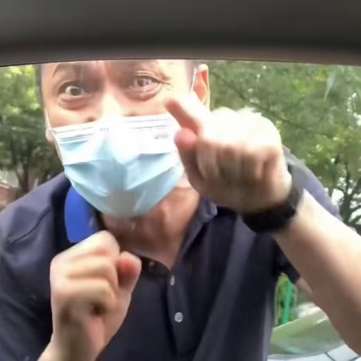手机维修狮
