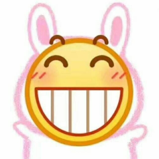 芝士老登