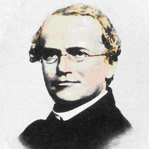 减数分裂2 必刷题18