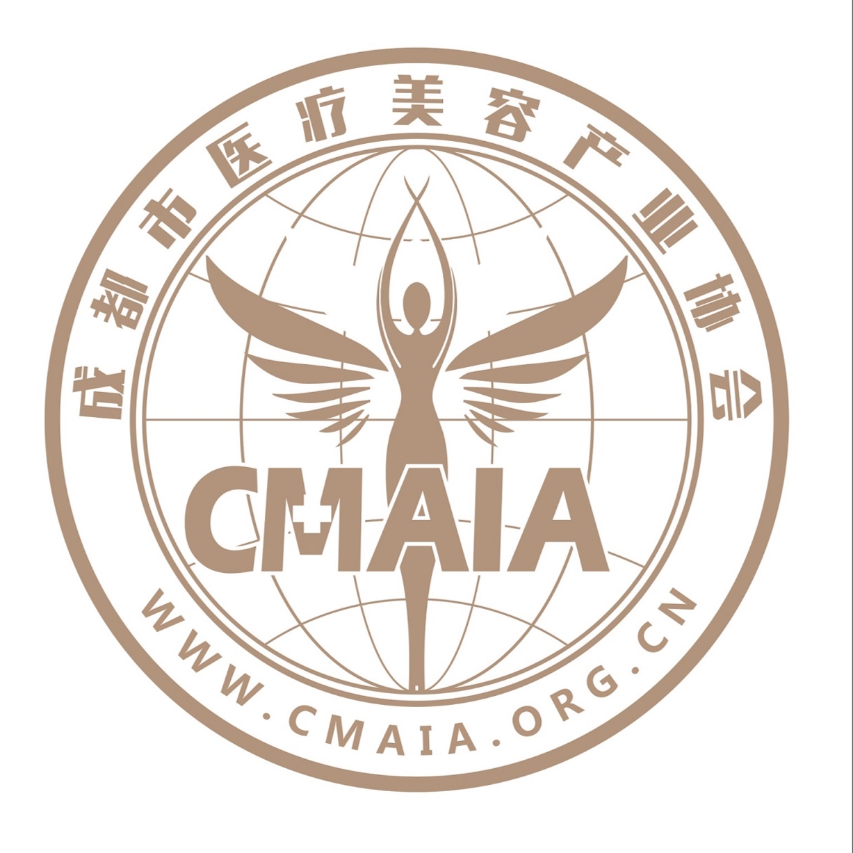 成都医美规范安全专题培训公立医院mdt及危机处理郭波医学博士