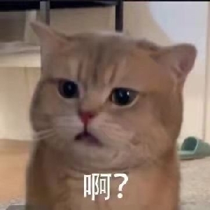 ⚠