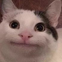 ⚠