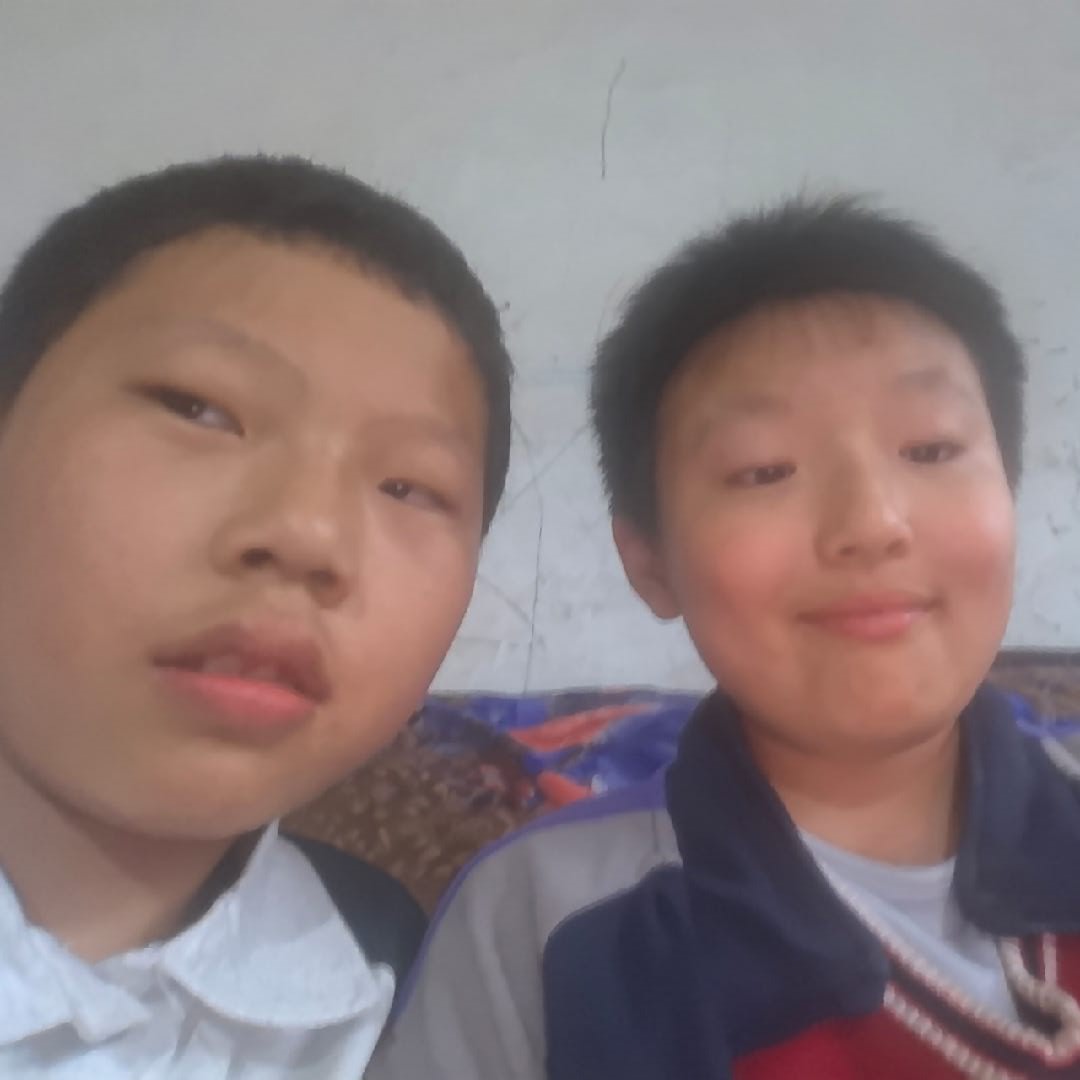 科科猪和哈基米