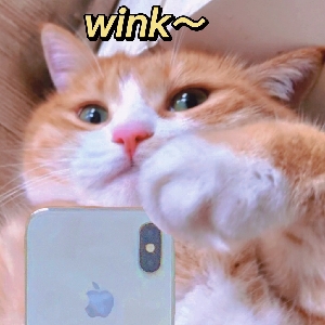 橘猫wd的个人空间 哔哩哔哩移动版