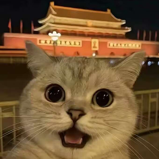 煤国人数码