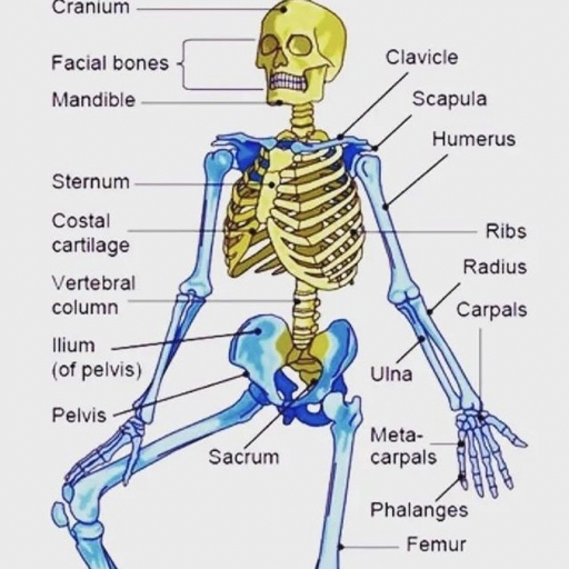 牛哔哩,一个只有评论的网站