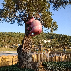 沐紫321