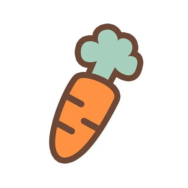 胡萝卜白菜包