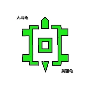 魔法大乌龟