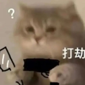 每日一学12138