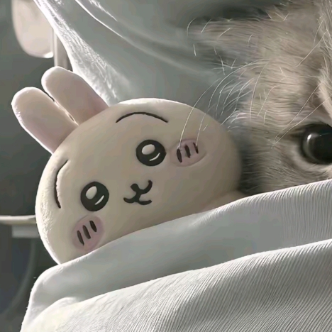 未曾去过须弥山