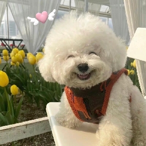 笑笑的聚宝盆