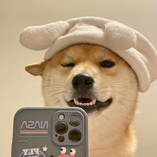 犇犇奔奔12138