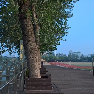 为为什么我们两个明明都是男孩子今天开始做魔王中日双语
